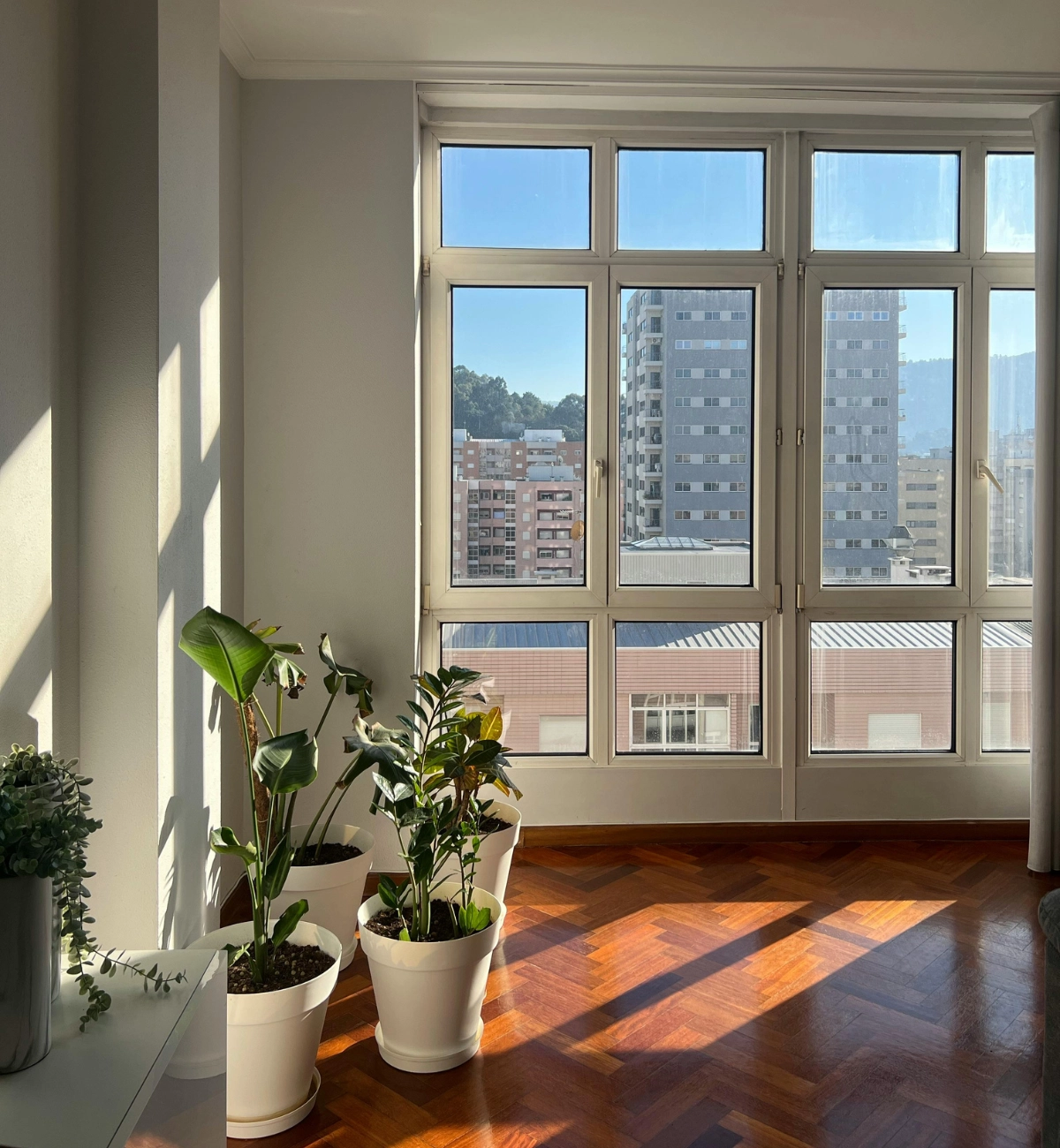 fijar precios de alquiler vacacional